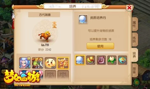 2024梦幻西游手游热门伙伴&副本高效组合推荐